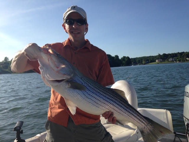 Striped Bass Fishing Charters at Mitchells Point