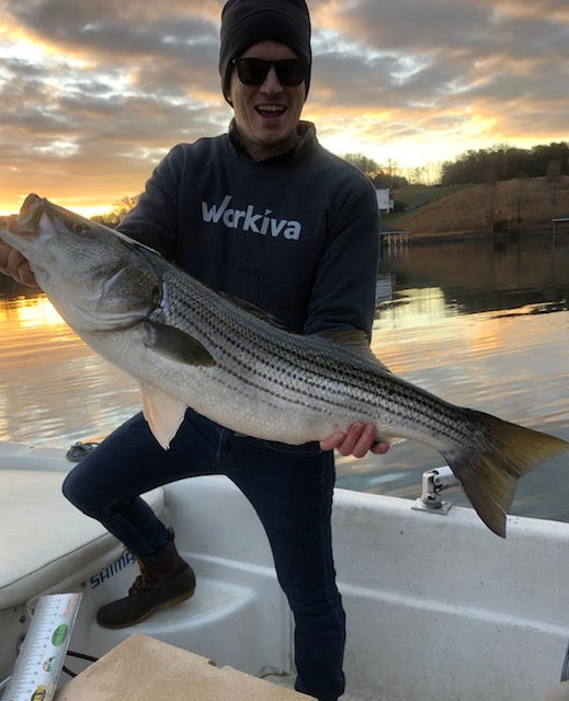 Catch the striped bass at SML