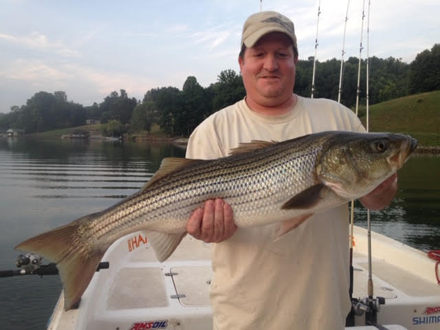 Charter a fishing trip for stripers at SML
