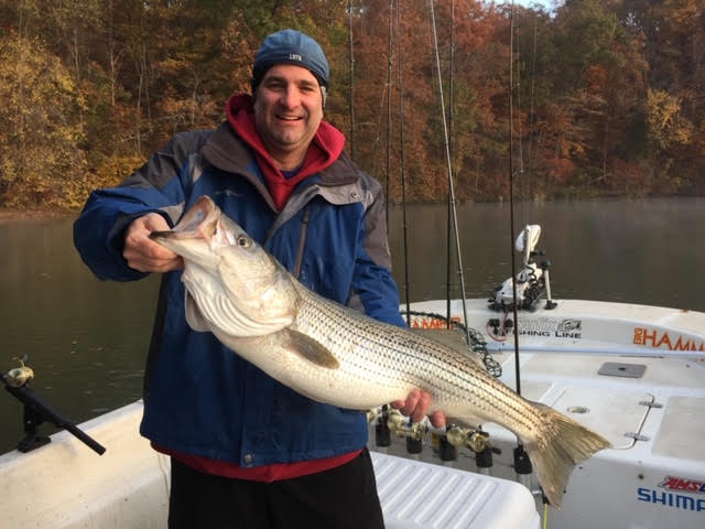 Fishing Charter for striped bass at SML