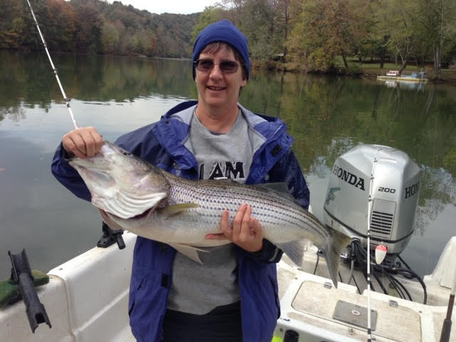 guided Striper fishing at SML