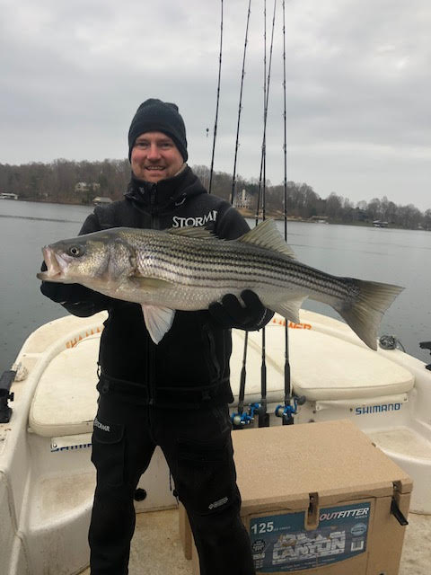 Guided fishing charter for stripers at SML