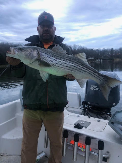 Book a guided fishing trip for stripers at SML